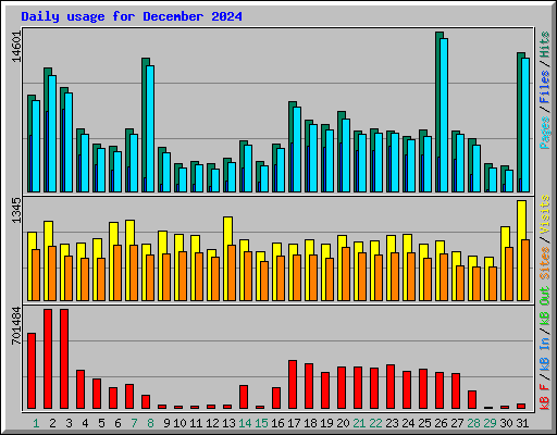 Daily usage for December 2024