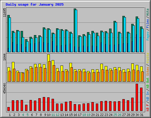 Daily usage for January 2025