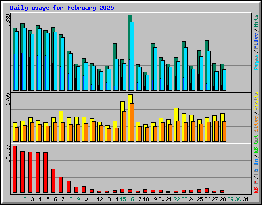 Daily usage for February 2025