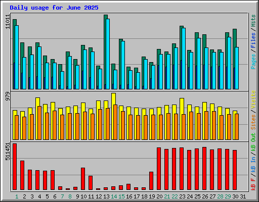 Daily usage for June 2025