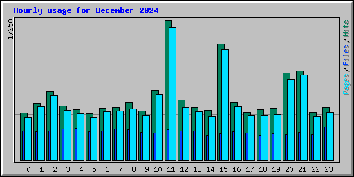 Hourly usage for December 2024