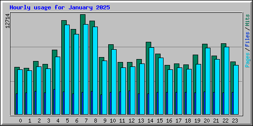 Hourly usage for January 2025