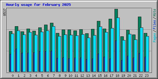 Hourly usage for February 2025