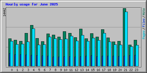 Hourly usage for June 2025