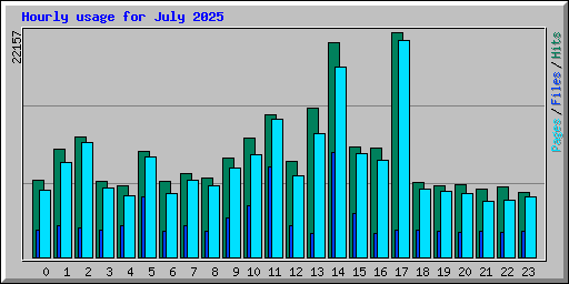 Hourly usage for July 2025