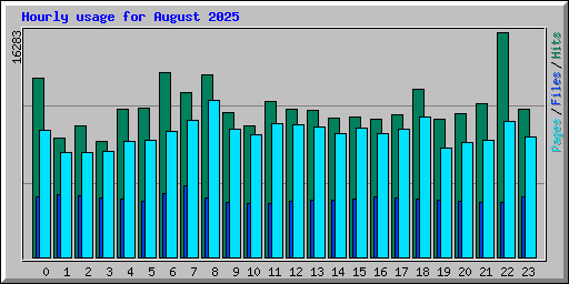Hourly usage for August 2025