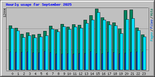 Hourly usage for September 2025